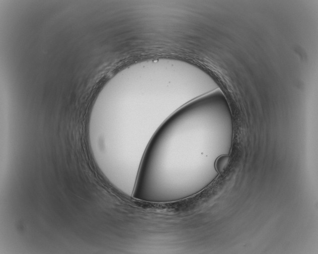X0000113590689200909181048