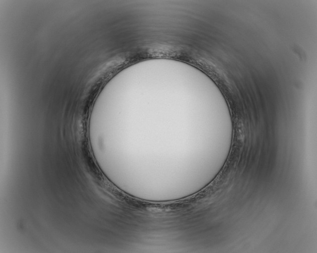 X0000113590690200909181048