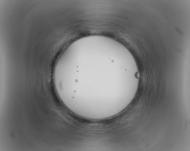 X0000113590691200909181048