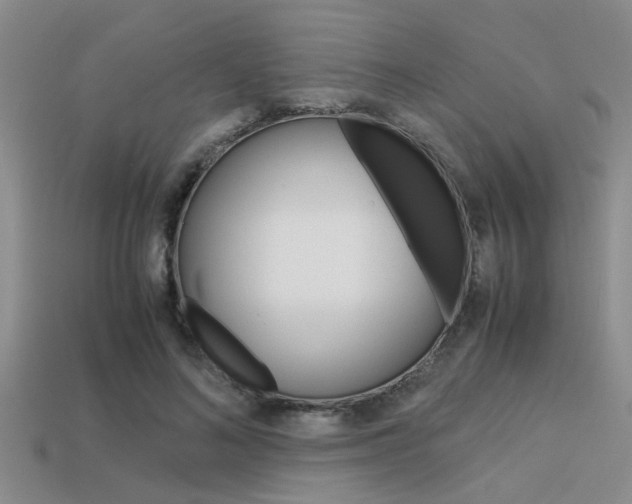 X0000113590692200909181048