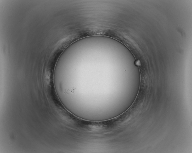 X0000113590693200909181048