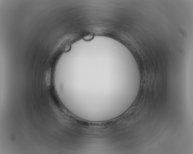 X0000113590694200909181048