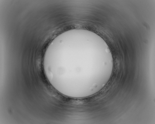 X0000113590698200909181048
