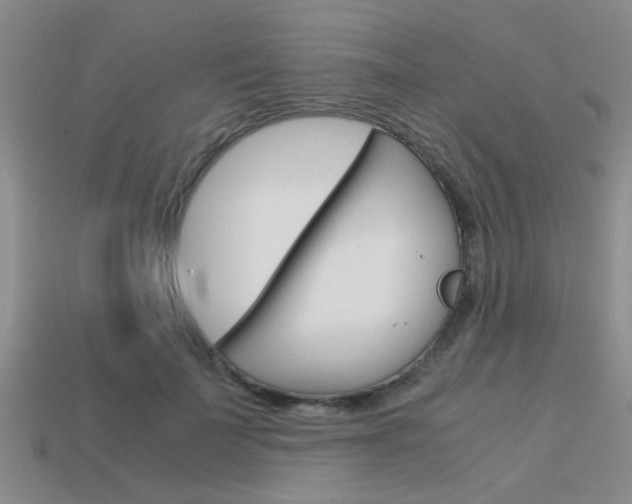 X0000113590699200909181048