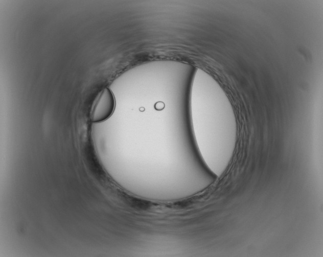 X0000113590703200909181048