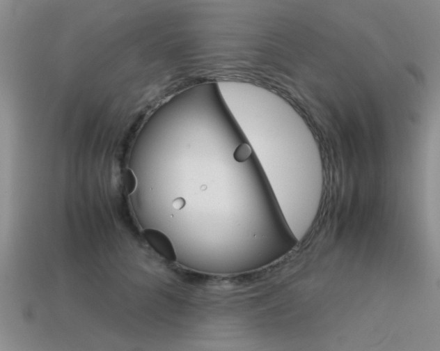X0000113590704200909181048