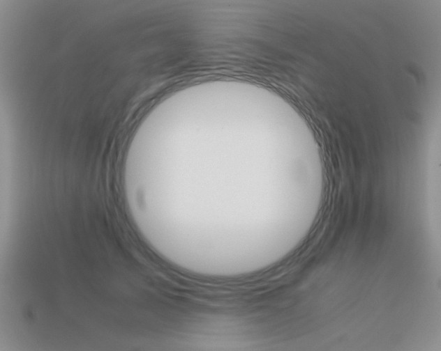 X0000113590705200909181048