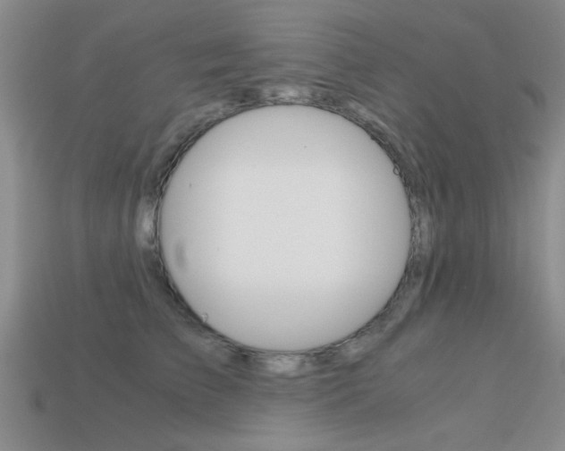 X0000113590709200909181048