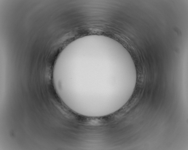 X0000113590710200909181048