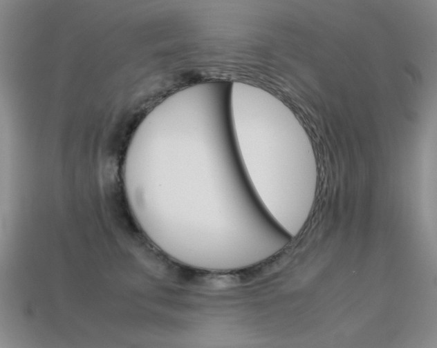 X0000113590711200909181048