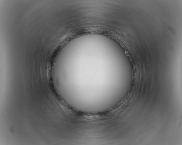 X0000113590712200909181048