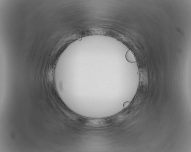 X0000113590713200909181048