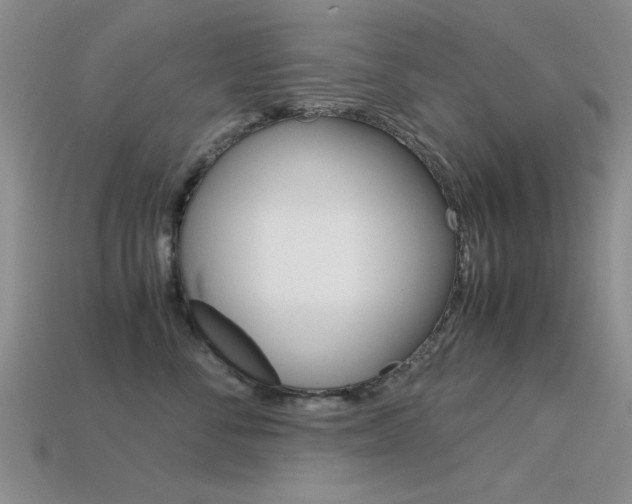 X0000113590716200909181048
