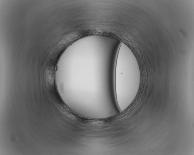 X0000113590719200909181048