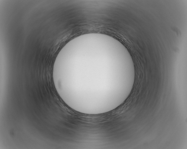 X0000113590720200909181048