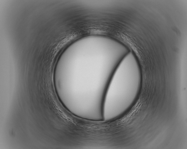 X0000113590721200909181047