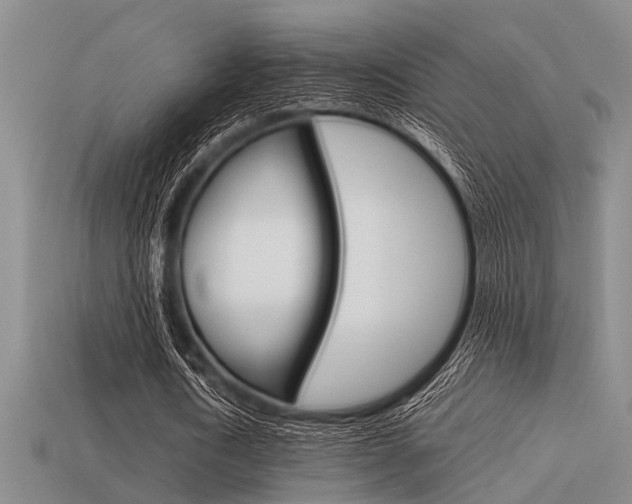 X0000113590722200909181047