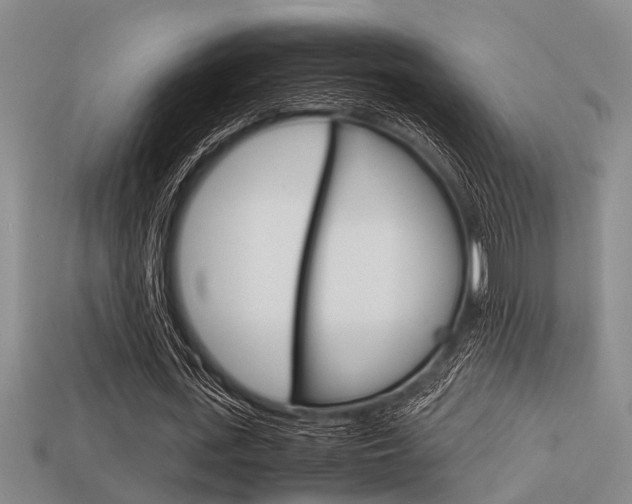X0000113590723200909181047