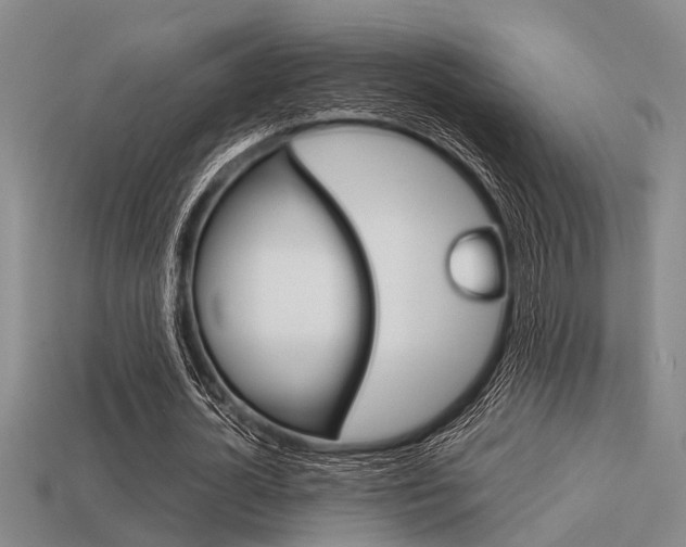 X0000113590724200909181047