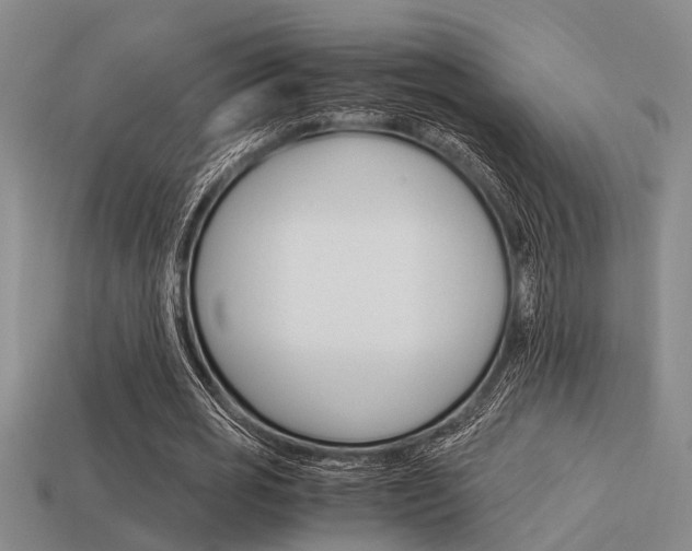 X0000113590725200909181047