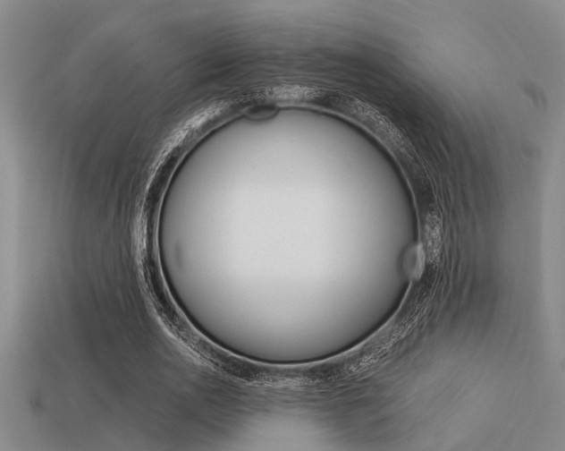 X0000113590726200909181047