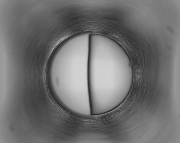 X0000113590727200909181047