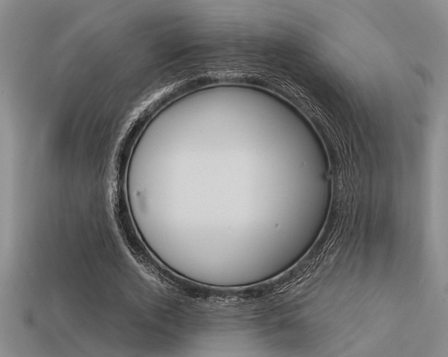 X0000113590728200909181047