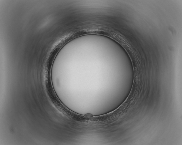X0000113590732200909181047