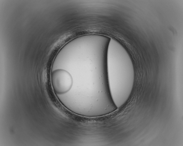 X0000113590734200909181047