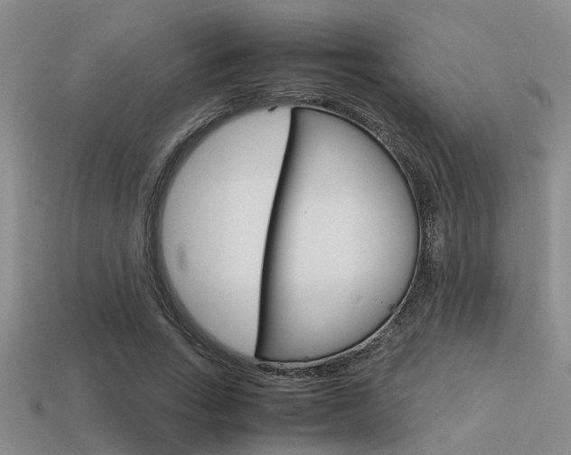 X0000113590735200909181047