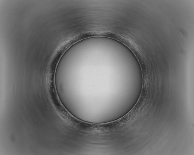 X0000113590736200909181047
