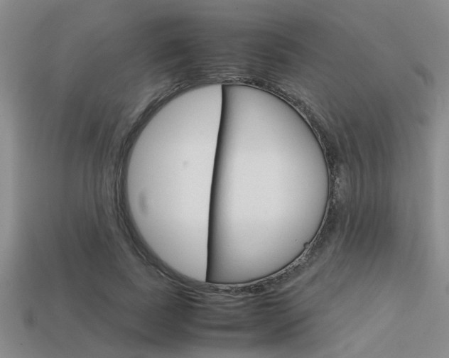 X0000113590739200909181047