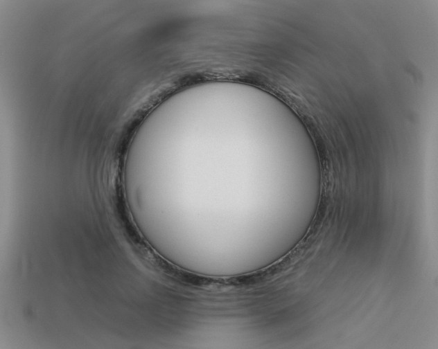 X0000113590742200909181047