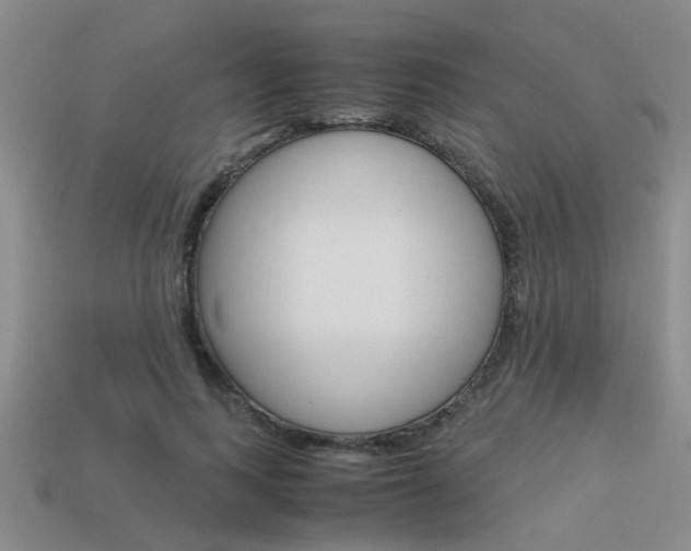 X0000113590743200909181047