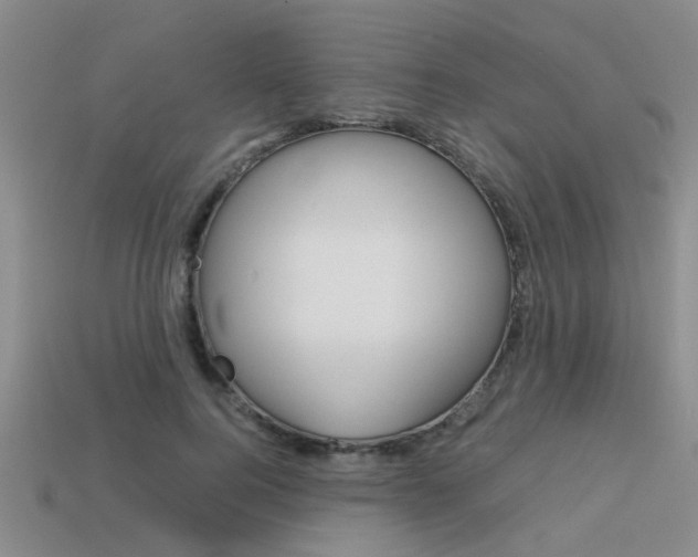 X0000113590744200909181047