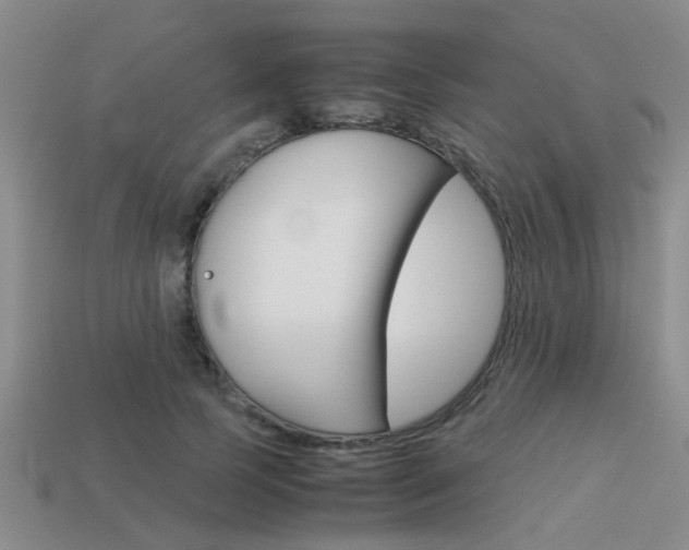 X0000113590745200909181047