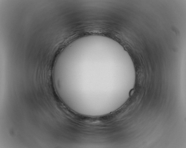 X0000113590747200909181047