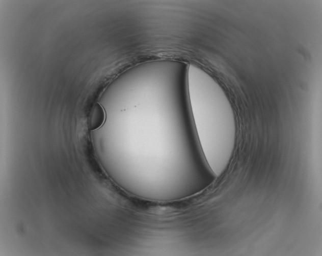 X0000113590748200909181047