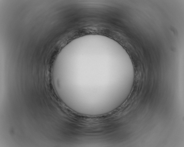 X0000113590749200909181048