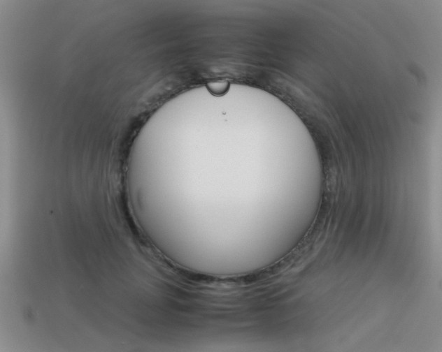 X0000113590751200909181048