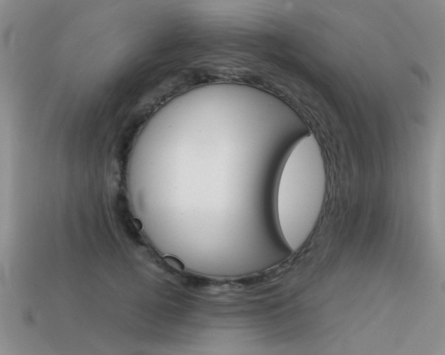 X0000113590752200909181048