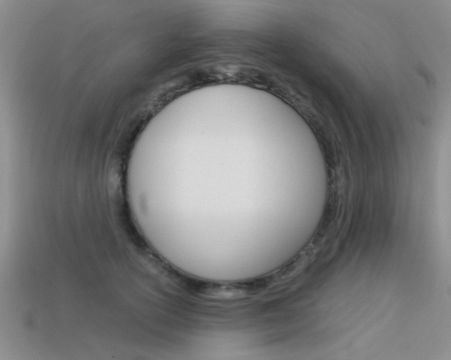 X0000113590754200909181048