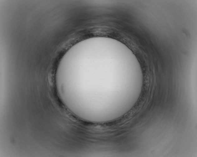 X0000113590755200909181048