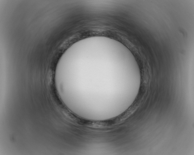X0000113590758200909181048