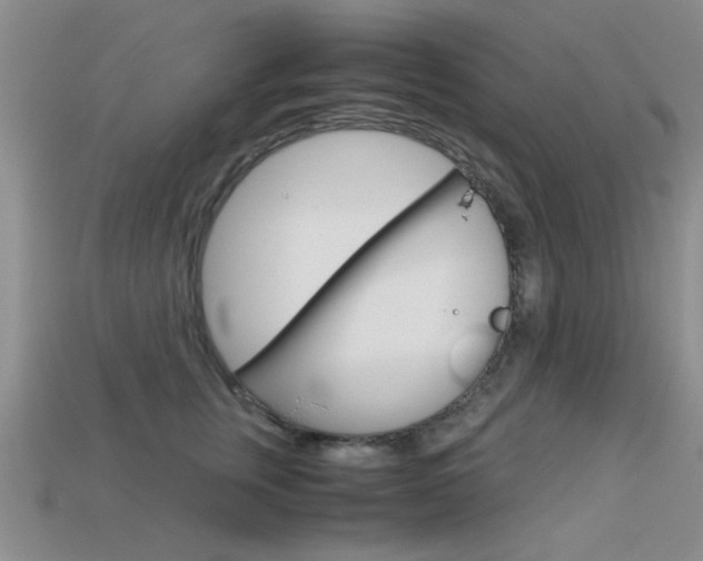 X0000113590759200909181048