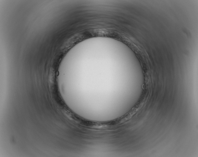 X0000113590760200909181048