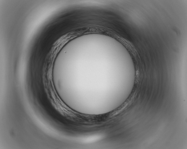 X0000113590765200909181048