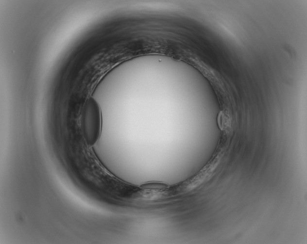 X0000113590766200909181048