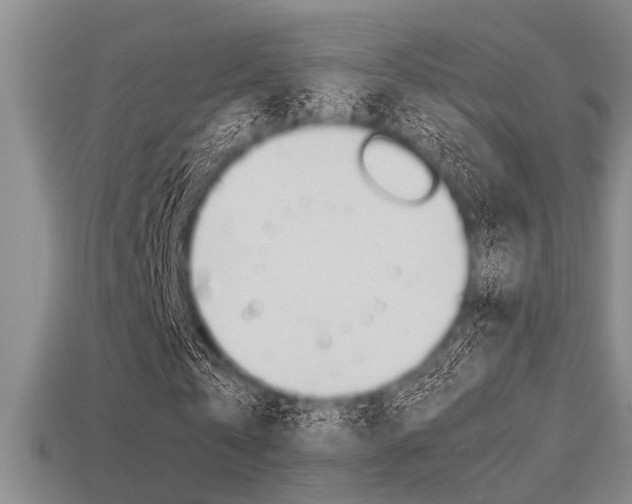 X0000113590769200909181047