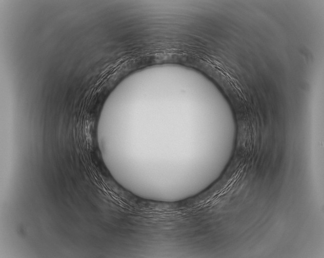 X0000113590770200909181047